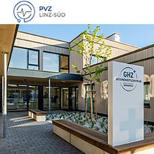 pvzlinz suedx300
